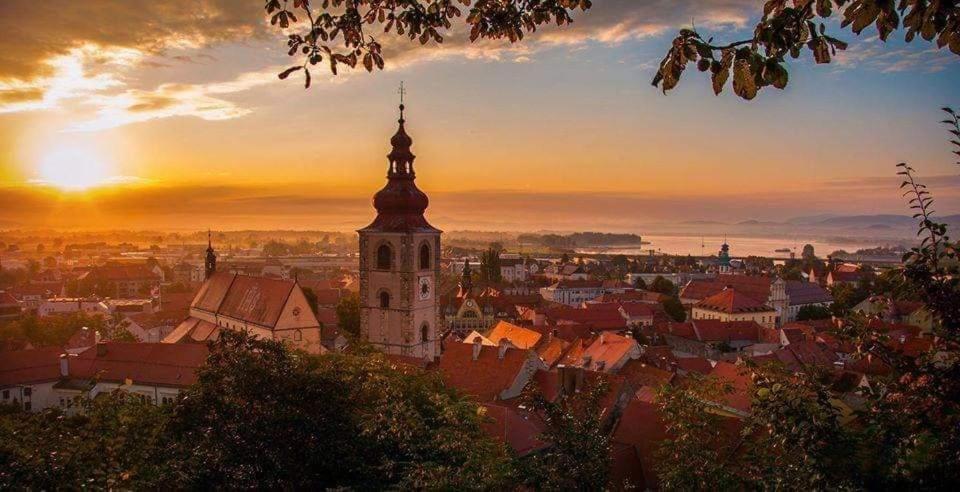 Hostel Sonce Ptuj Dış mekan fotoğraf