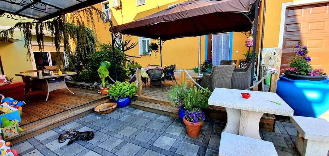 Hostel Sonce Ptuj Dış mekan fotoğraf