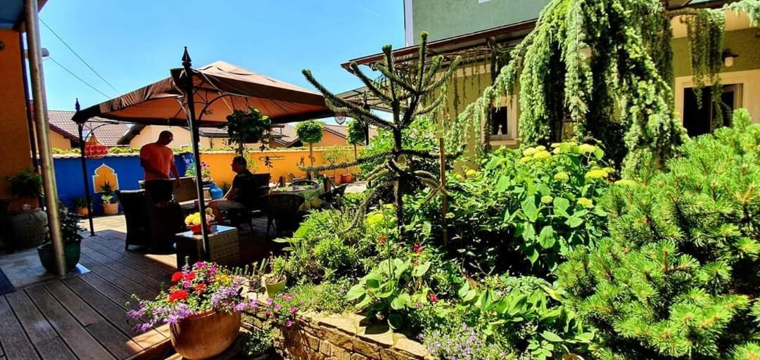 Hostel Sonce Ptuj Dış mekan fotoğraf