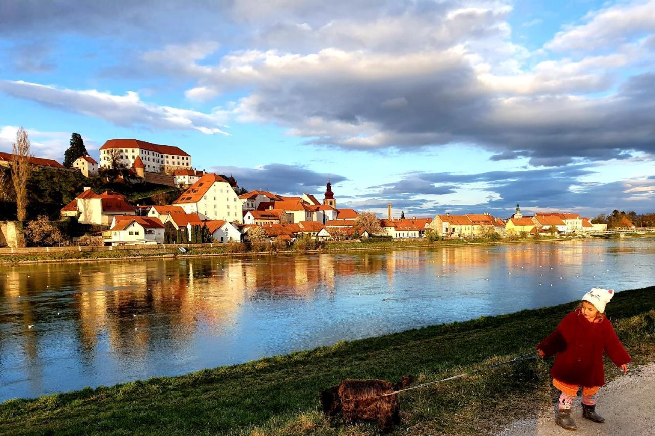 Hostel Sonce Ptuj Dış mekan fotoğraf