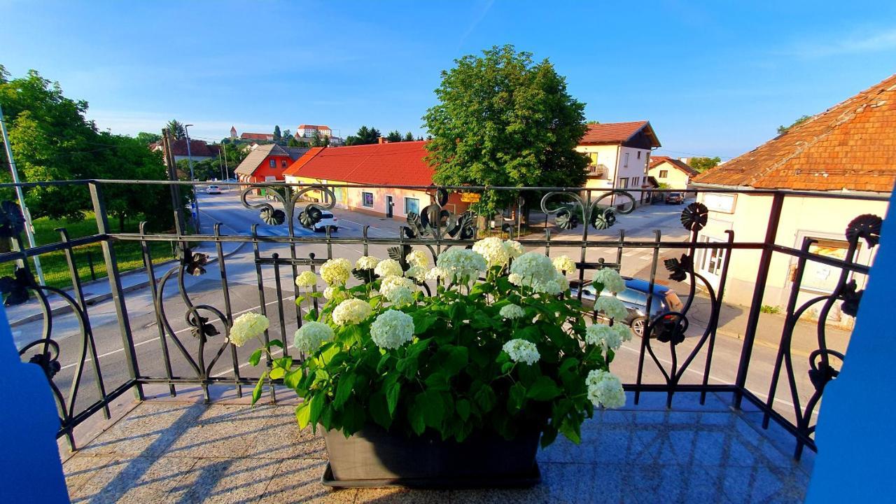 Hostel Sonce Ptuj Dış mekan fotoğraf