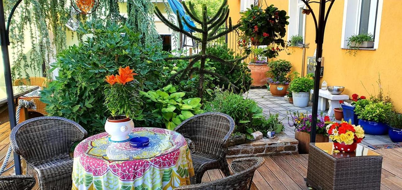 Hostel Sonce Ptuj Dış mekan fotoğraf