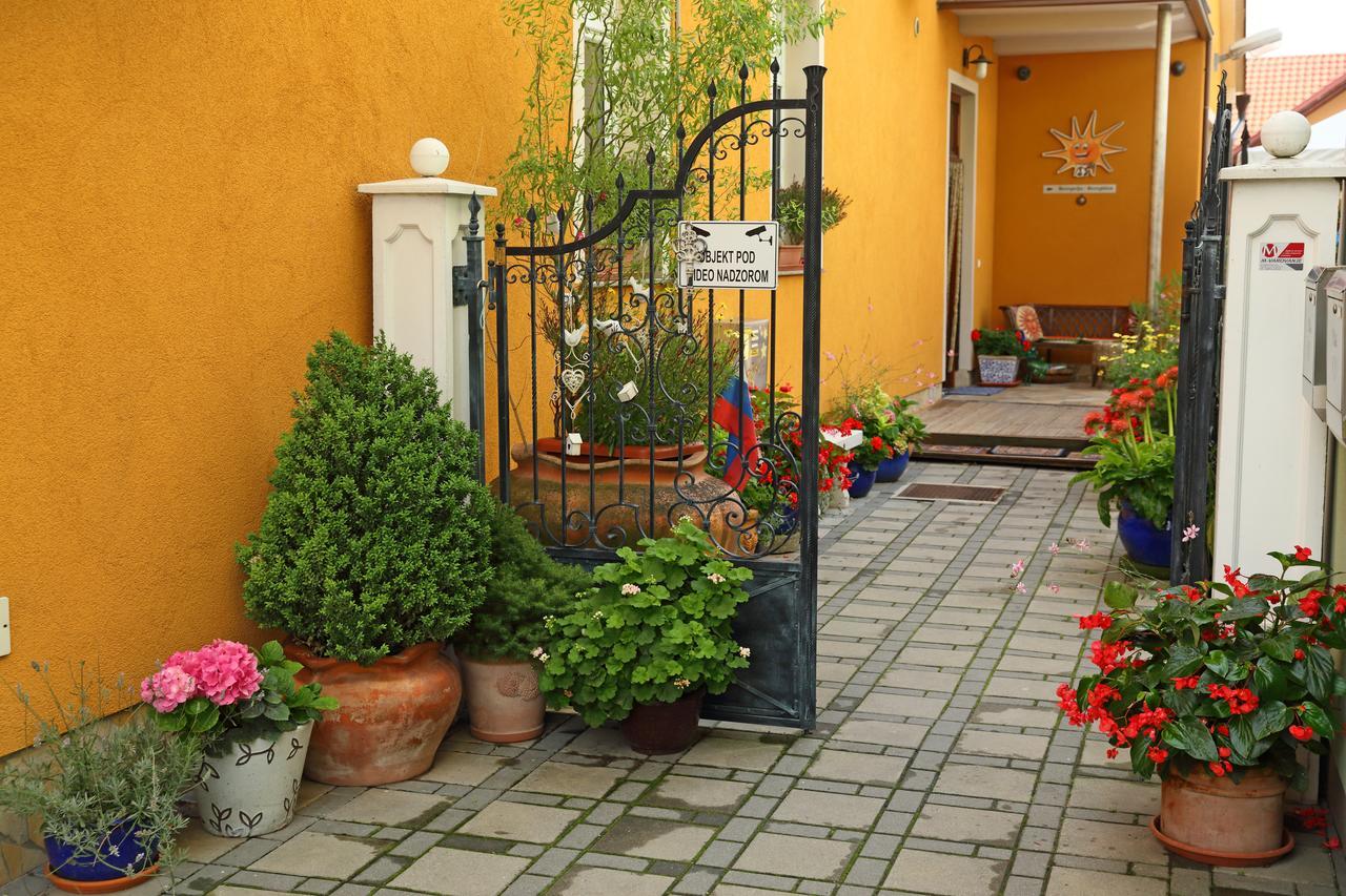 Hostel Sonce Ptuj Dış mekan fotoğraf