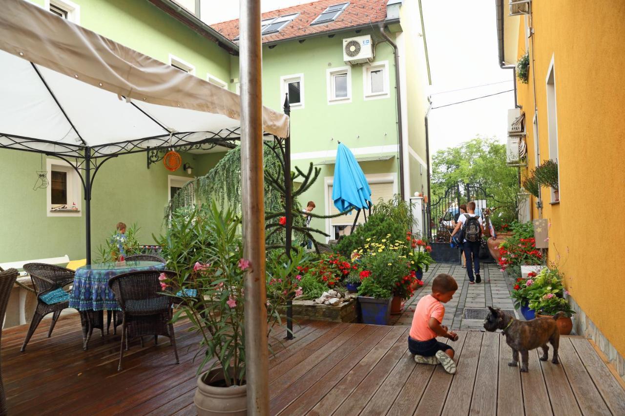 Hostel Sonce Ptuj Dış mekan fotoğraf